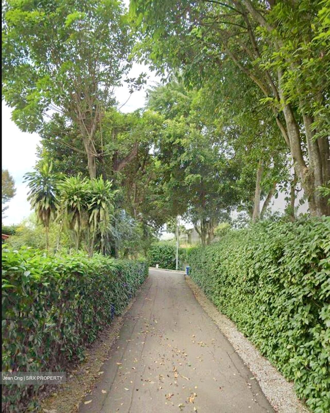 Duchess Avenue (D10), Detached #496788641